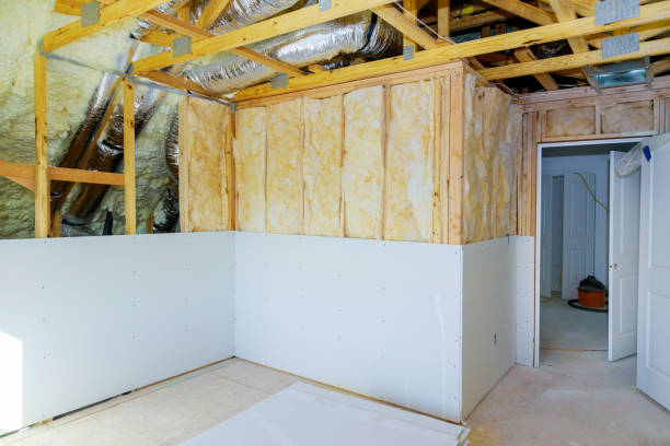 Best DIY Insulation Kits and Guidance in Trenton, IL